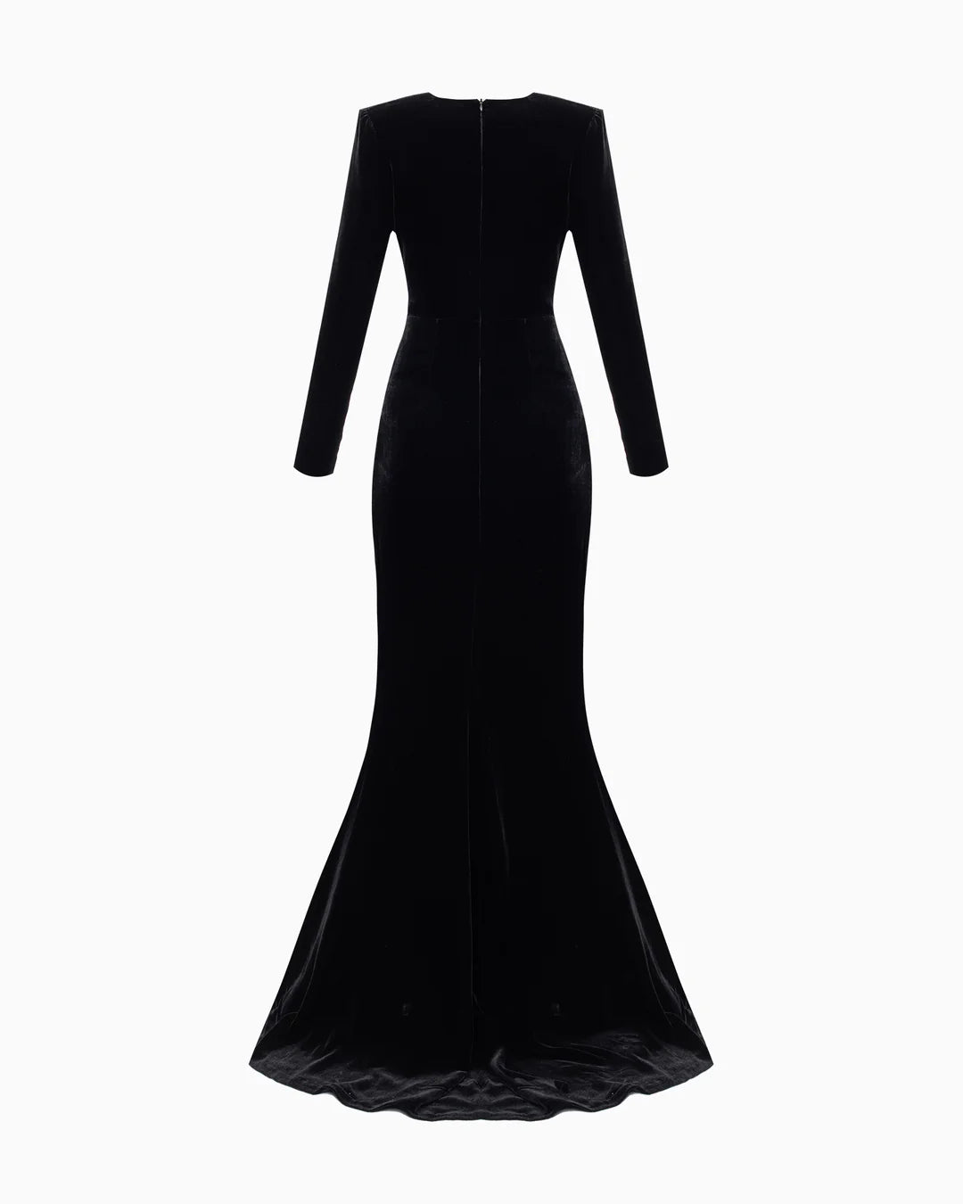 Lunaria Annua Sombre