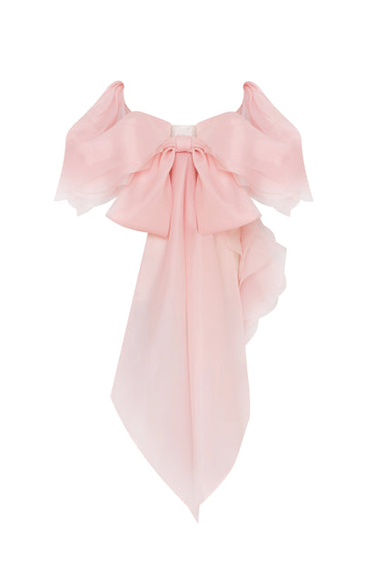 Blush Whisper Organza Top