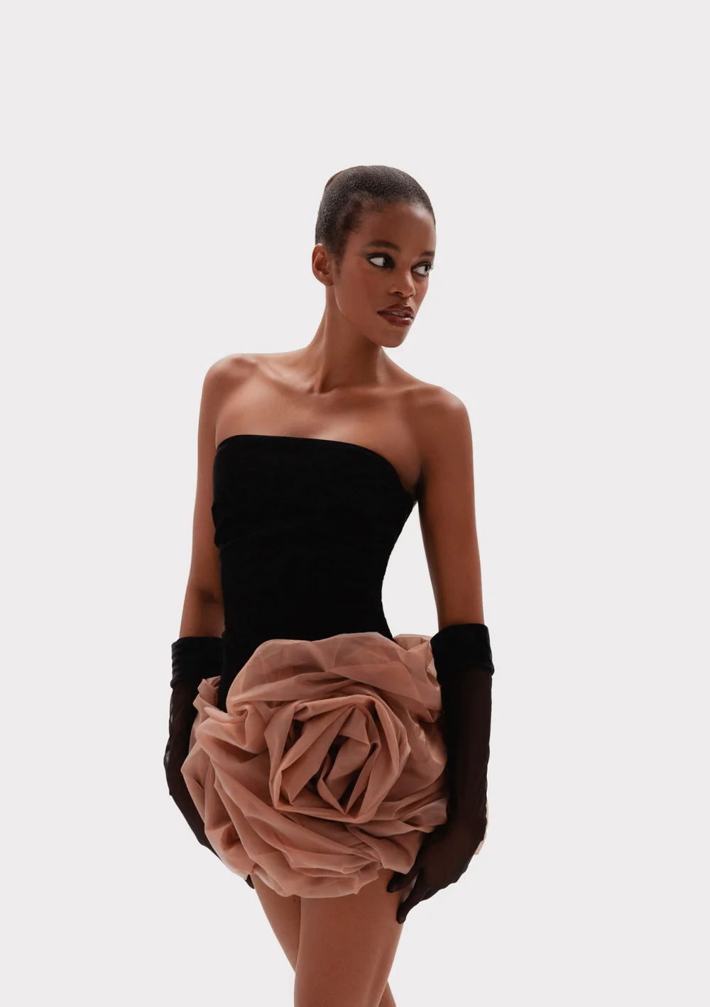 Roman Rose Blush Dress