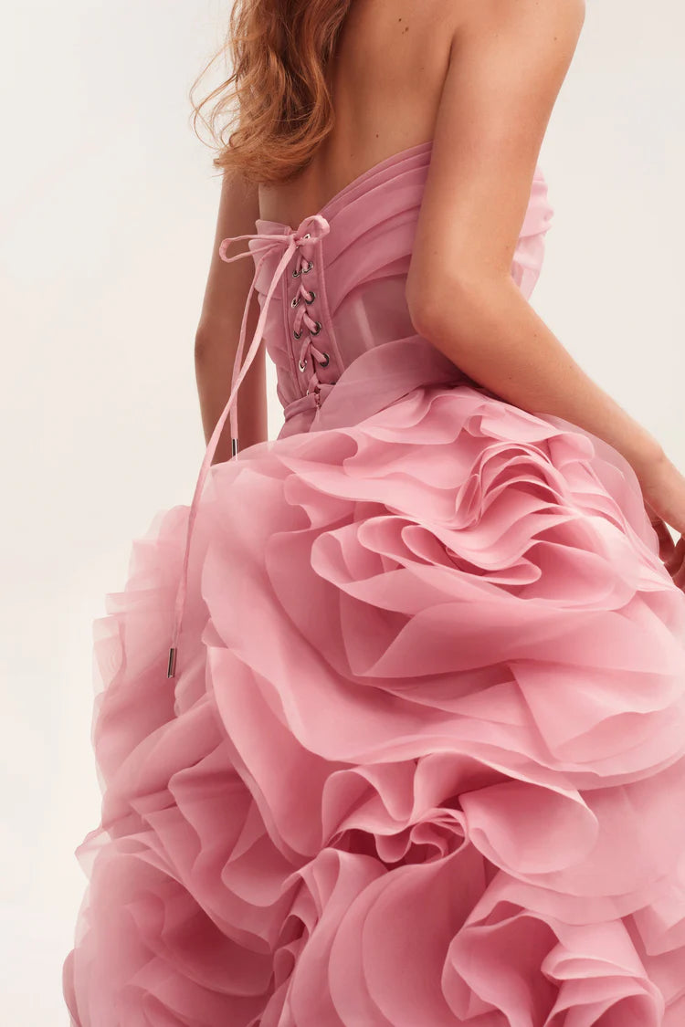 Rosalia appliques pink Opera Dress