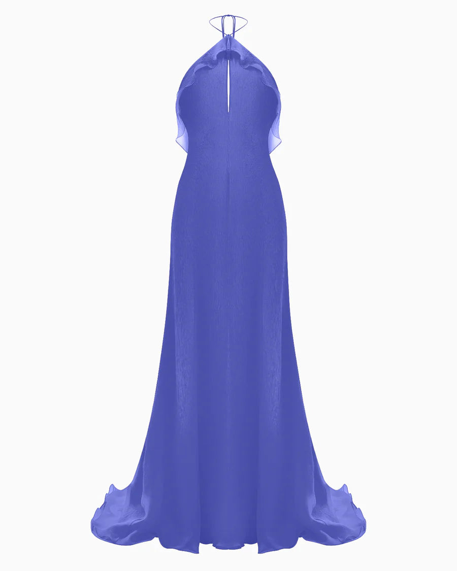 Orchid Grace De Venus