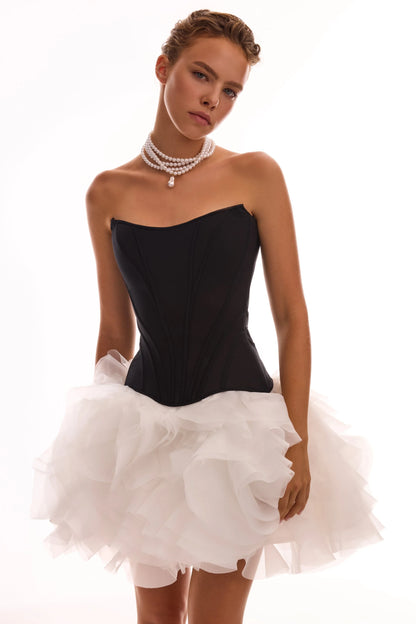 Strapless Corset Top & Ruffled Tulle Mini Skirt Set