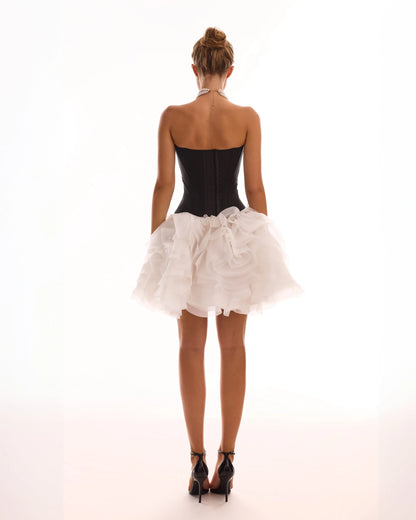 Strapless Corset Top & Ruffled Tulle Mini Skirt Set