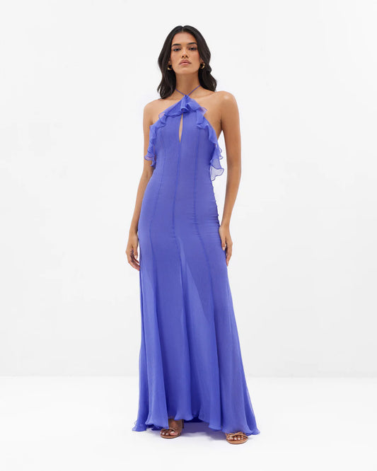 Orchid Grace De Venus