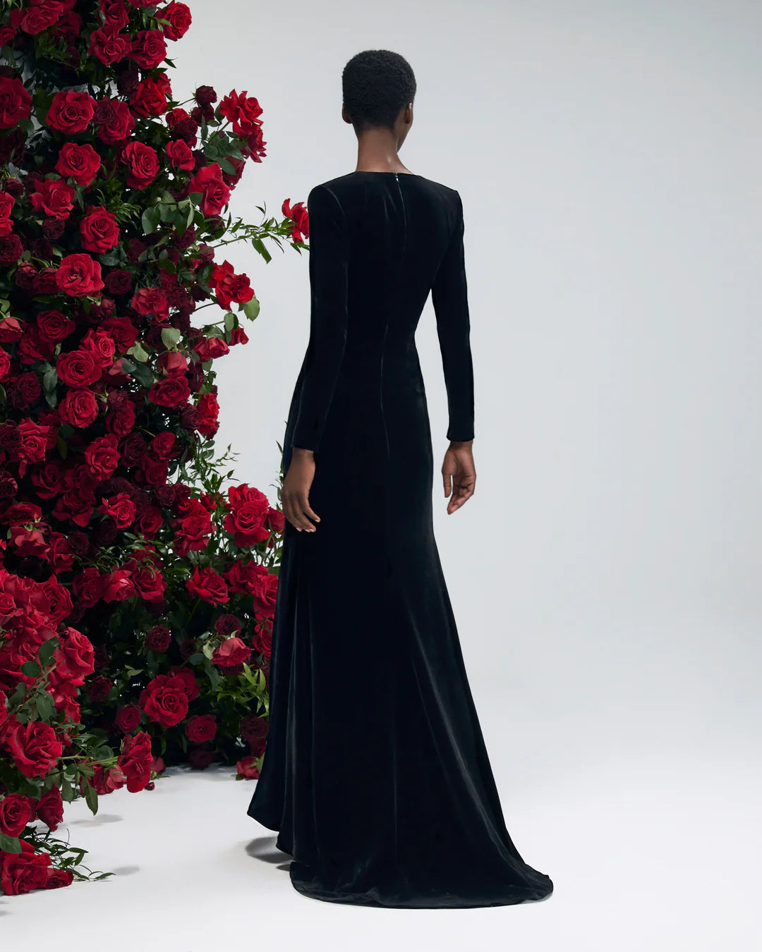 Lunaria Annua Sombre