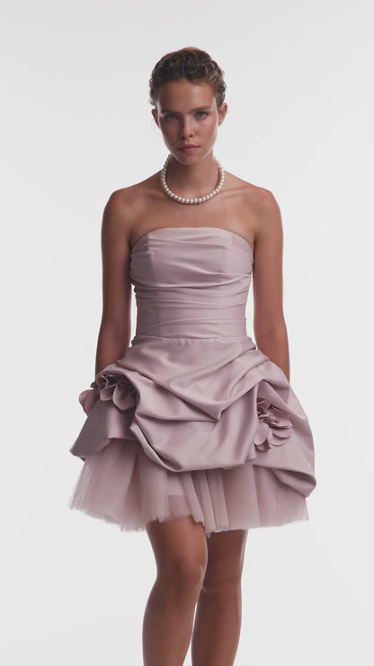 Rosabelle Misty Rose Mini Dress